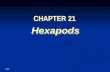 21-1 CHAPTER 21 Hexapods Hexapods. Copyright © The McGraw-Hill Companies, Inc. Permission required for reproduction or display. 21-2.