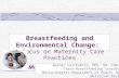 Breastfeeding and Environmental Change: A Focus on Maternity Care Practices The Massachusetts Experience Rachel Colchamiro, MPH, RD, LDN, CLC State Breastfeeding.