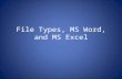 File Types, MS Word, and MS Excel. File Types/Extensions.doc Microsoft Word Document Name that file extension!