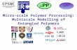 Micro-scale Polymer Processing: Multiscale Modelling of Entangled Polymers.