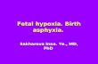 Fetal hypoxia. Birth asphyxia. Sakharova Inna. Ye., MD, PhD.