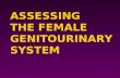 ASSESSING THE FEMALE GENITOURINARY SYSTEM. Outcomes 4Identify pertinent genitourinary history questions. 4Obtain a female genitourinary history. 4Perform.