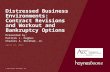 © 2015 Haynes and Boone, LLP Distressed Business Environments: Contract Revisions and Workout and Bankruptcy Options Presented by: Patrick L. Hughes Charles.