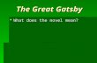 The Great Gatsby  What does the novel mean?. The Great Gatsby Literary Elements.