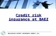 BULGARIAN EXPORT INSURANCE AGENCY JSC. BULGARIAN EXPORT INSURANCE AGENCY JSC. Credit risk insurance at BAEZ.