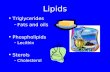 Lipids Triglycerides –Fats and oils Phospholipids –Lecithin Sterols –Cholesterol.