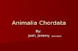 Animalia Chordata By: Josh, Jeremy and Zach. Definition of Chordata Chordates are animals which are either vertebrates or closely related invertebrates.