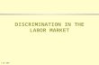 LIR 809 DISCRIMINATION IN THE LABOR MARKET. LIR 809 DEFINITION OF LABOR MARKET DISCRIMINATION  The valuation of personal characteristics of workers that.