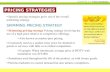 CHAPTER 19 Pricing Strategies PRICING STRATEGIES Specific pricing strategies grow out of the overall marketing strategy. SKIMMING PRICING STRATEGY Skimming.
