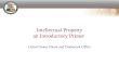 Intellectual Property an Introductory Primer United States Patent and Trademark Office.