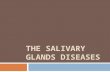 THE SALIVARY GLANDS DISEASES. Mumps Etiology  Mumps, the most common salivary gland disease, is a paramyxovirus infection usually of both parotid glands.
