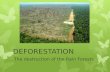 DEFORESTATION The destruction of the Rain Forests.