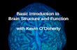 Basic Introduction to Brain Structure and Function with Kevin O’Doherty.