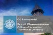 CIO Training Model Pravit Khaemasunun College of Innovation Thammasat University.