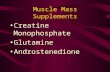 Muscle Mass Supplements Creatine Monophosphate Glutamine Androstenedione.