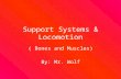 Support Systems & Locomotion ( Bones and Muscles) By: Mr. Wolf.