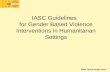 IASC Guidelines for Gender Based Violence Interventions in Humanitarian Settings.