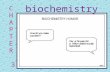C H A P T E R 3 biochemistry. Atomic Structure: Protons = Electrons = Neutrons = Mass = Valence Electrons = Currently unstable Needs to obtain, give,