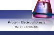Protein Electrophoresis By: Dr. Beenish Zaki. Introduction to Electrophoresis Electrophoresis is a laboratory technique where the blood serum (is placed.