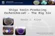 Shiga toxin-Producing Escherichia coli – The Big Six Kevin J. Allen.