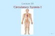 21-1 Lecture 18 Circulatory System I. 21-2 Blood Matrix between the cells is liquid Hemopoiesis –Process of formation of blood cells –Tissue found in.