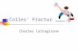 Colles’ Fractures Charles Caltagirone. Wrist Anatomy Motions Boney anatomy Soft anatomy Colles fracture site.