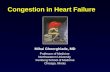 Congestion in Heart Failure Mihai Gheorghiade, MD Professor of Medicine Northwestern University Feinberg School of Medicine Chicago, Illinois.