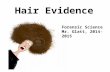 Hair Evidence Forensic Science Mr. Glatt, 2014-2015.