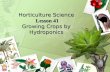 Horticulture Science Lesson 41 Growing Crops by Hydroponics.