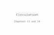 Circulation Chapters 13 and 14 Circulatory System Transportation –nutrients, metabolic wastes (excretion), water, ions and respiratory gases (O 2, CO.