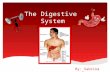 The Digestive System a By: Sabrina Perna.  The Digestive System  The Mouth  The Pharynx and The Esophagus  The Stomach  The Small Intestine  The.