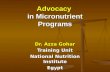 Advocacy in Micronutrient Programs Dr. Azza Gohar Training Unit National Nutrition Institute Egypt.
