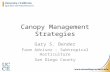 Canopy Management Strategies Gary S. Bender Farm Advisor – Subtropical Horticulture San Diego County.