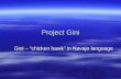Project Gini Gini – “chicken hawk” in Navajo language.