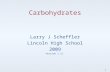 Carbohydrates Larry J Scheffler Lincoln High School 2009 Version 1.11 1.