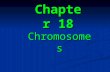 Chapter 18 Chromosomes. 18.1 Introduction 18.2 Condensing viral genomes into their coats 18.3 The bacterial genome is a nucleoid 18.4 The bacterial genome.