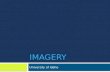 IMAGERY University of Idaho. Imagery Theory Imagery Theory Questions of Interest What is imagery? Does imagery work? How does imagery work?