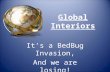 Global Interiors It’s a BedBug Invasion, And we are losing!