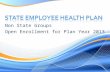 Non State Groups Open Enrollment for Plan Year 2013.