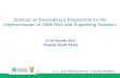 1 Seminar on Developing a Programme for the Implementation of 2008 SNA and Supporting Statistics 17-19 October 2012 Pretoria, South Africa.