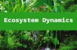 Ecosystem Dynamics Essential questions What limits the production in ecosystems? How do nutrients move in the ecosystem? How does energy move through.