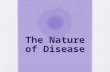 The Nature of Disease. Definitions Physiology Function of the Body in the healthy state Pathology = From the Greek for Pathos meaning Disease Deals with.