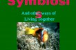 Symbiosis And other ways of Living Together Three Types of Symbiosis Mutualism both species benefit +/+ Commensalism one species benefits, the other.