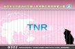 TNR. What is TNR? Tree? Nature? Road? Tiger? Net? Rabbit? TNR.