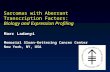 Sarcomas with Aberrant Transcription Factors: Biology and Expression Profiling Marc Ladanyi Memorial Sloan-Kettering Cancer Center New York, NY, USA.