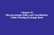 Chapter 19 Macroeconomic Policy and Coordination Under Floating Exchange Rates.