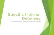 Specific Internal Defenses The Acquired (or Adaptive) Immune System.