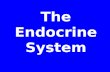 The Endocrine System. Hypothalamus-pituitary axis The hypothalamic – Pituitary--- end organs pathways Corticotrophin-releasing hormone. (CRH) causes a.
