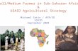 Small/Medium Farmer in Sub-Saharan Africa & USAID Agricultural Strategy Michael Satin / AFR/SD USAID September 2004.