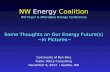 Some Thoughts on Our Energy Future(s) ~In Pictures~ NW Energy Coalition NW Clean & Affordable Energy Conference Comments of Ron Binz Public Policy Consulting.